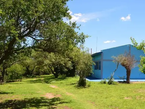 Ruta 1, KM 17 - La Cañada - Cortaderas, San Luis 100