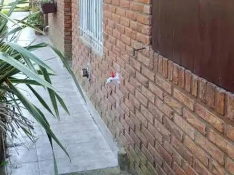 Depto Tipo Casa en Venta de 2 dormitorios
