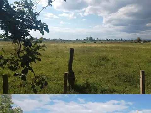 Consultar dirección