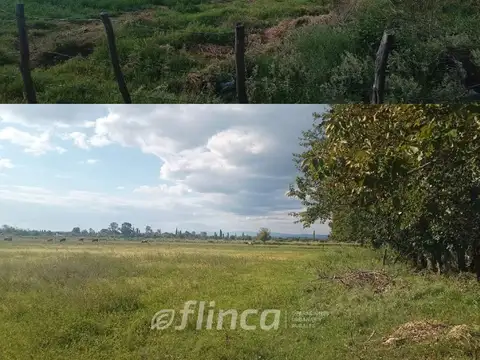 Consultar dirección