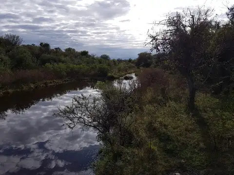 Ruta