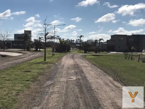 Los Juncos - Lujan