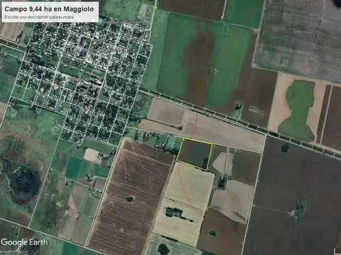 Se vende campo de 9,44 has. en Maggiolo