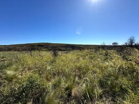 Campo en Venta Chacra