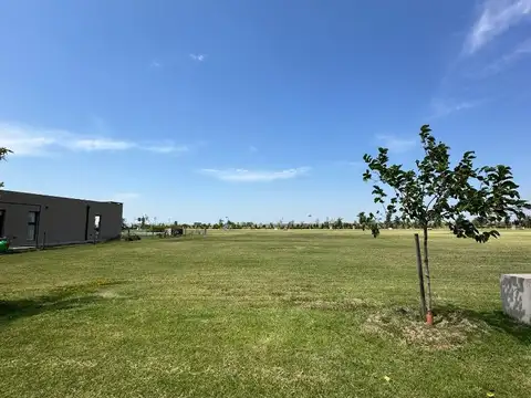 Vida Club De Campo