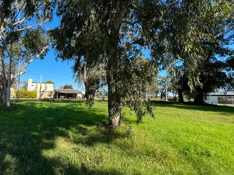 Terreno en Venta de 804,0 m2