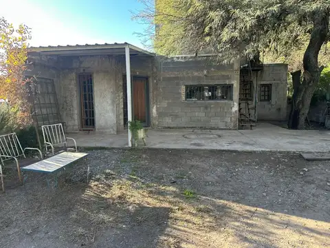 Los Algarrobos 600