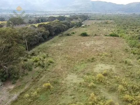 Finca Wierna