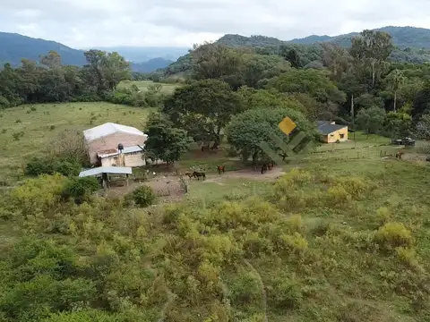 Finca Wierna