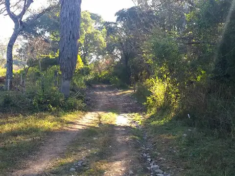 Venta - 40 Has Multiproposito