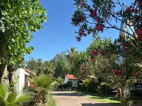 Las Delicias 100