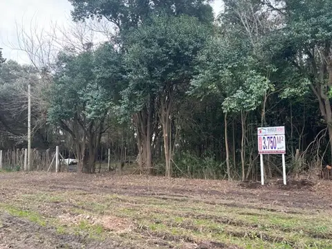 Terreno en Venta en San Pedro, USD 39.000