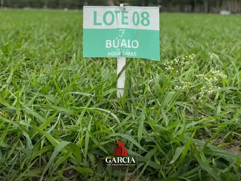 Ruta Provincial 99
