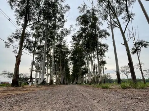 Terreno en Venta 25  mts Frente
