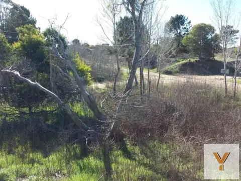 Terreno en Venta en Mar de las Pampas, USD 90.000
