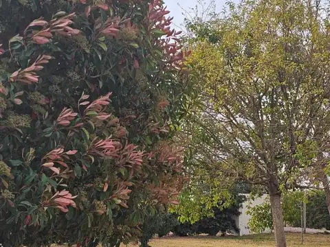 Terreno en Venta en San Roque, USD 11.500