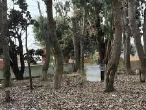 Terreno en Venta 40  mts Fondo