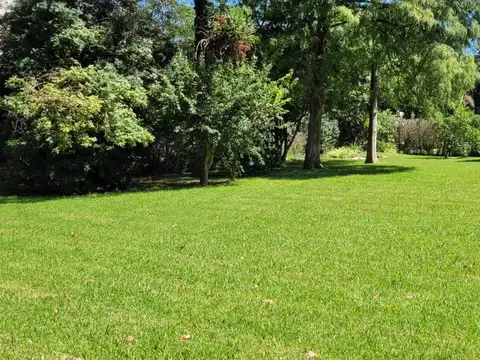 Terreno en Venta 25  mts Frente