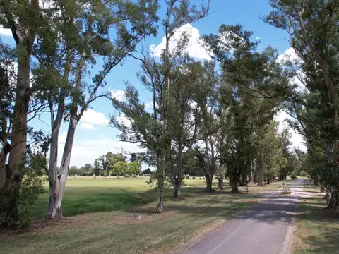 Terreno en Venta en Guernica, USD 115.500