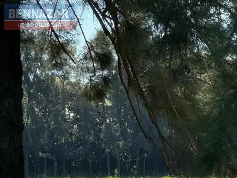 5 HECTAREAS, RIO TALA, SAN PEDRO, Provincia de Buenos Aires