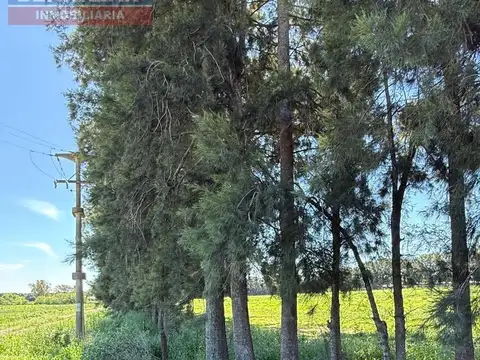5 HECTAREAS EN VENTA, RIO TALA, LA CELINA, SAN PEDRO