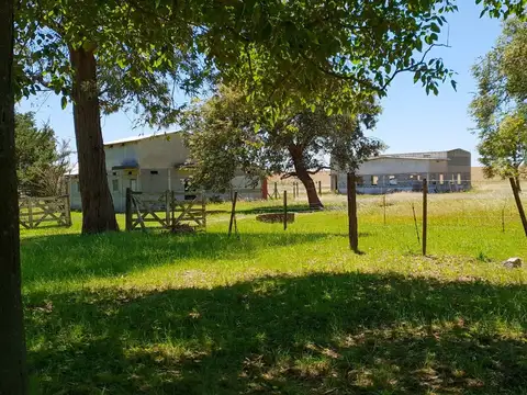 Venta Campo en Baradero 78 Hectareas