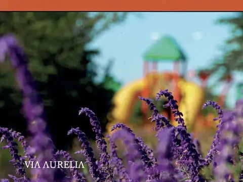 Terreno en Vía Aurelia - Manzana 75 Lote 7