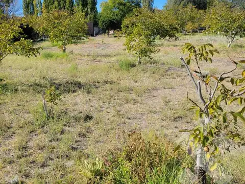VENTA Lote 2440 m2 - Zona AFR Nueva Esperanza, Senillosa (CHACRA)