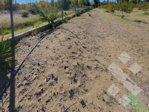 VENTA Lote 2440 m2 - Zona AFR Nueva Esperanza, Senillosa (CHACRA)