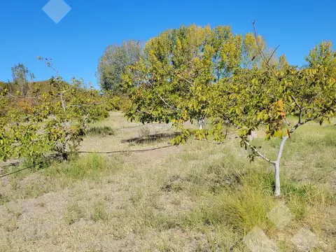 Terreno en Venta en Senillosa, USD 45.000