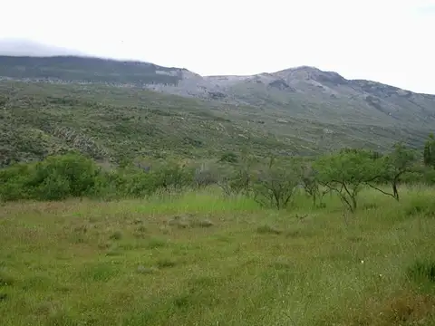 Campo en Venta con Alambrado