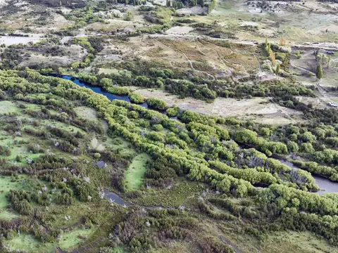 Campo en Venta de 1.210  ha