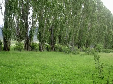 Campo en Venta de 1.210  ha