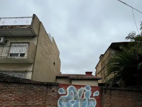 Curupayti 100