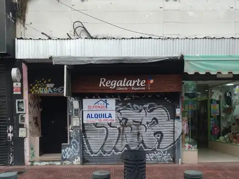 Constitucion 300