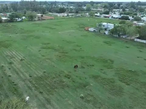 #hectareas aptas loteo