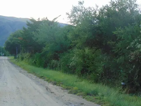 LOTES DESDE 850M2 EN LOS MOLLES