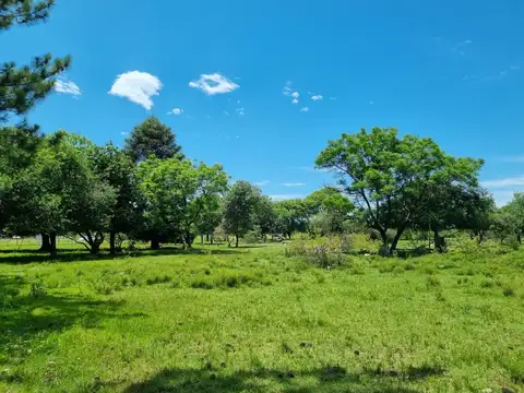 VENTA 6 HECTAREAS 100% FINANCIADAS ZONA DESVÍO