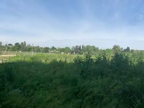 Terreno - Alquiler - Argentina, Luján
