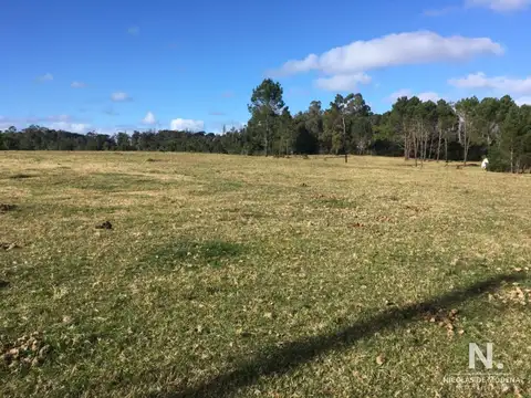 Terreno en excelente zona - vendido