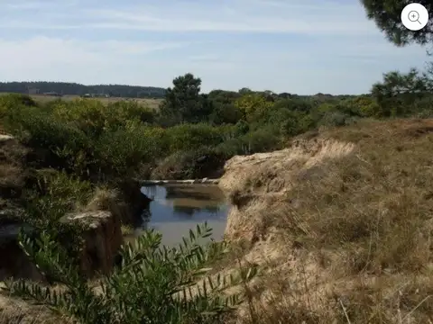 Terreno en Venta de 5202,0 m2