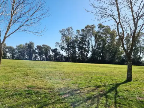 Terreno en Venta de 5000,0 m2