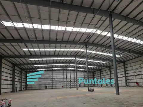 Local en Alquiler en Carlos Spegazzini, USD 16.500