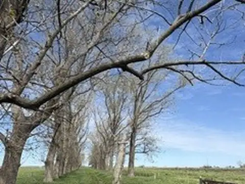 CAMPO GANADERO EN VENTA