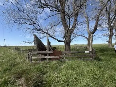 CAMPO GANADERO EN VENTA
