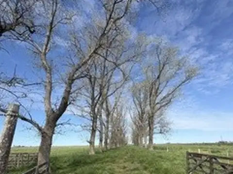 RUTA 58