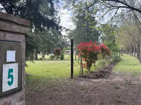 Terreno en Venta 57  mts Fondo