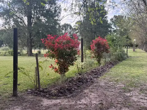 Terreno en Venta de 1202,0 m2
