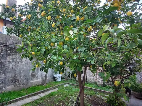 Martín J. Haedo 3500, Piso PB