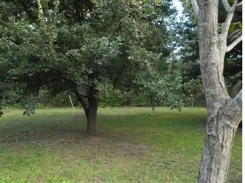 Ruta Prov 5 100